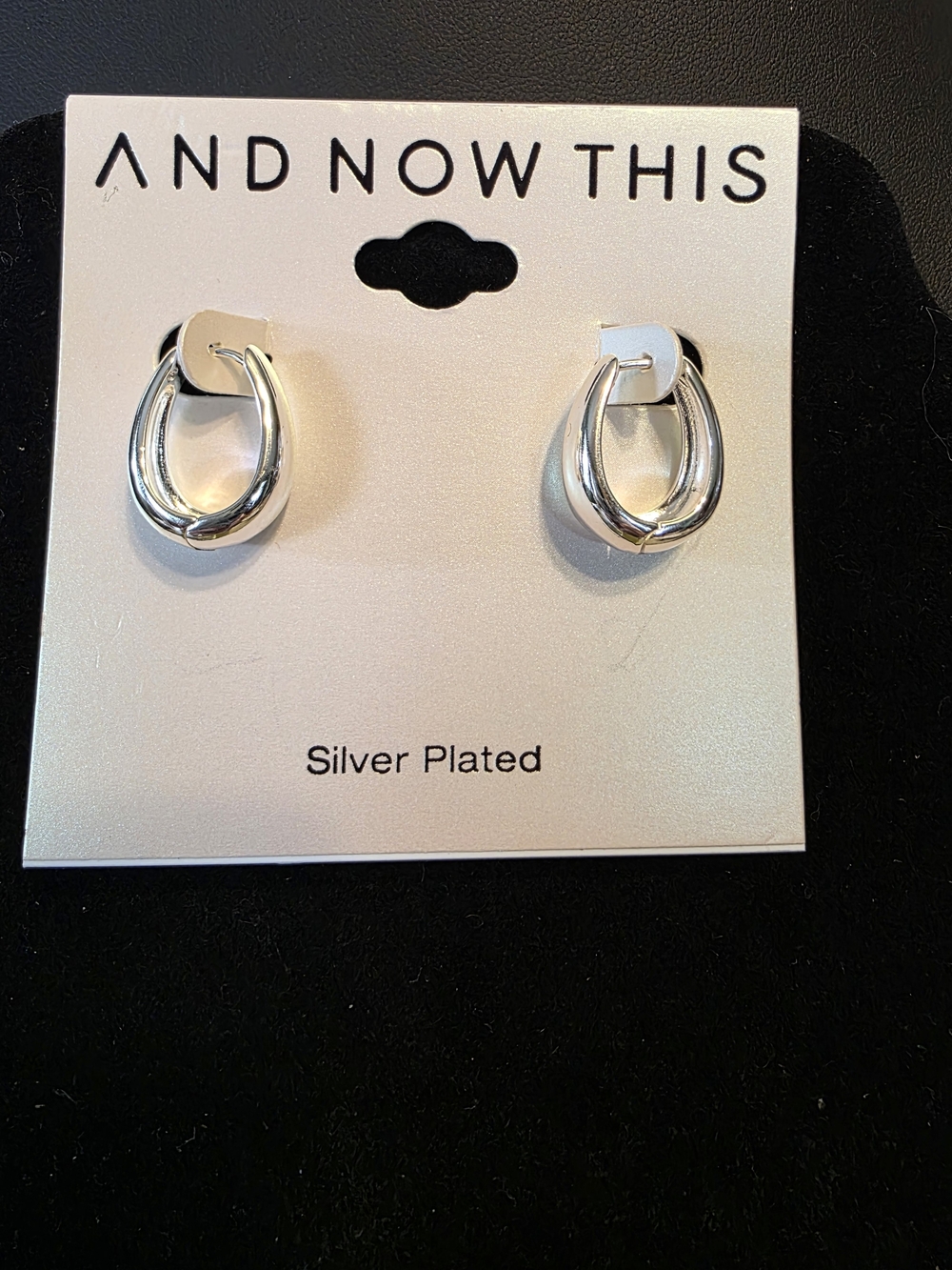 #311 Silver Plated Double Hoop Earrings